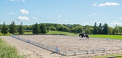 Dressage Serpentine