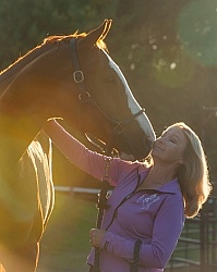Horse and Human Bond