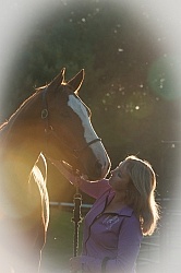 Horse and Human Bond