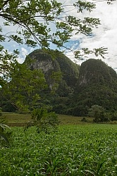 Valle Vinales
