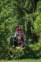 Leg Protection Eventing