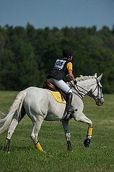Leg Protection Eventing