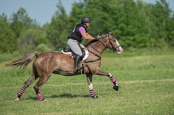 Ashley Hensman and Hott Aventador  Leg Protection Eventing