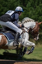 Equine Athlete, Eventing Lower Level Leg Protection Eventing