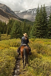 On the Trail Spring Summer