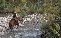 Spring Summer Trail Riding
