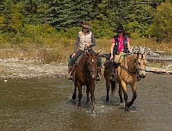 Spring Summer Trail Riding