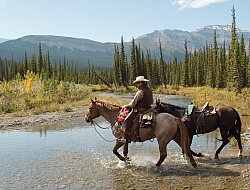 Leading a Horse on the Trail