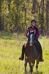 Rocky Mountain Horse on the Trail,Bonnie View Farms 
