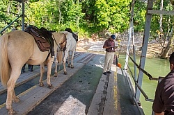 The Ride to Xunantunich with Hanna Stables