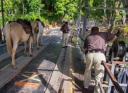 The Ride to Xunantunich with Hanna Stables