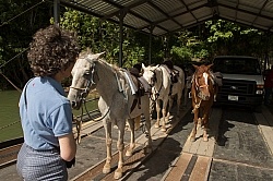 The Ride to Xunantunich with Hanna Stables