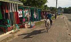 The Ride to Xunantunich with Hanna Stables