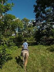 Riding Through Town with Hanna Stables