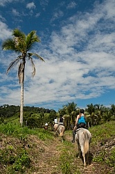 On the Trails with Hanna Stables