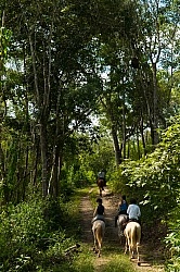 On the Trails with Hanna Stables