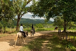 On the Trails with Hanna Stables