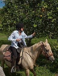 On the Trails with Hanna Stables