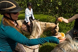 On the Trails with Hanna Stables