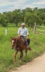 On the Trails with Hanna Stables
