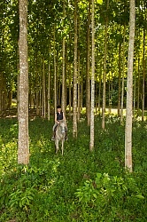 On the Trails with Hanna Stables