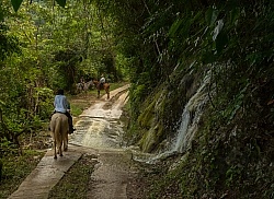 On the Trails with Hanna Stables