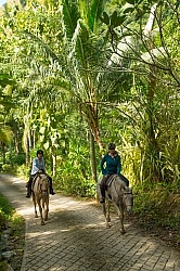 On the Trails with Hanna Stables