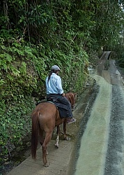 On the Trails with Hanna Stables
