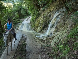 On the Trails with Hanna Stables