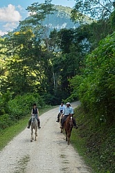 On the Trails with Hanna Stables