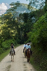On the Trails with Hanna Stables