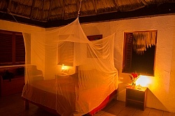 Mountain Equestrian Trails