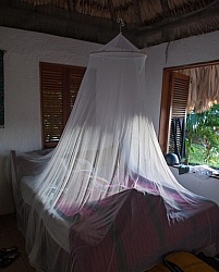 Mountain Equestrian Trails