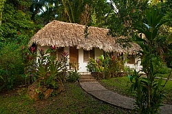 Mountain Equestrian Trails