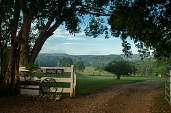 Hanna Stables Nabitunich