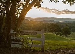 Hanna Stables Nabitunich