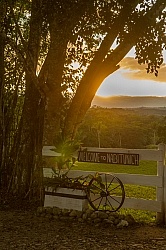 Hanna Stables Nabitunich