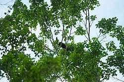 Hanna Stables Nabitunich