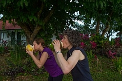 Hanna Stables Nabitunich