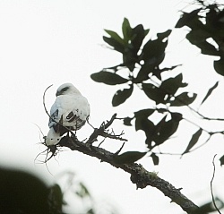 On the Trails with MET