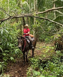 On the Trails with MET