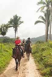 On the Trails with MET