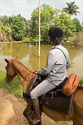 On the Trails with MET