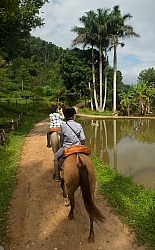 On the Trails with MET