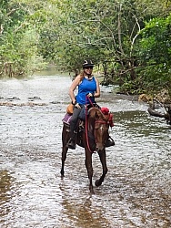 On the Trails with MET