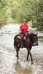 On the Trails with MET