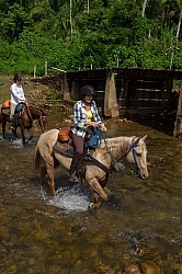 On the Trails with MET