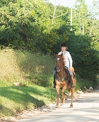 On the Trails with MET