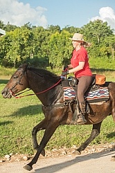 On the Trails with MET