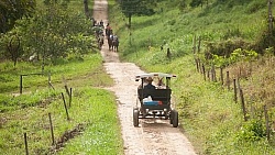 On the Trails with MET